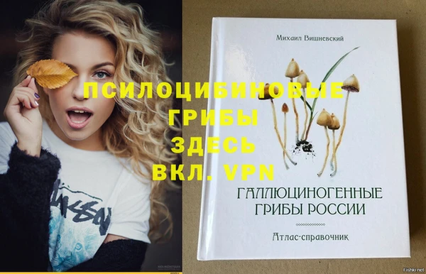 винт Алексин
