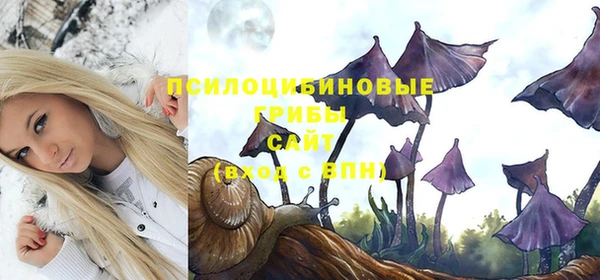 ALPHA PVP Алзамай